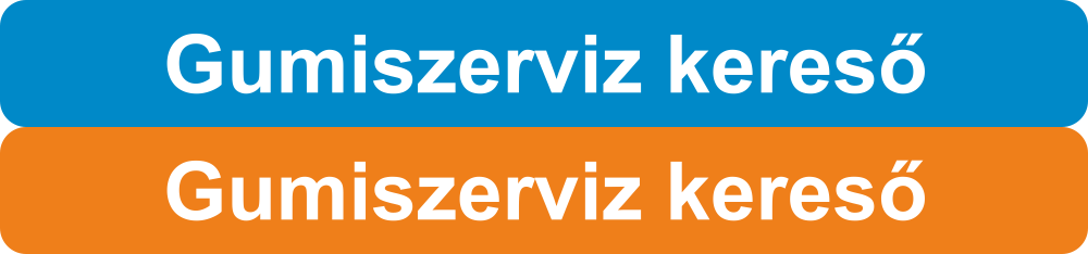 Gumiszerviz kereso